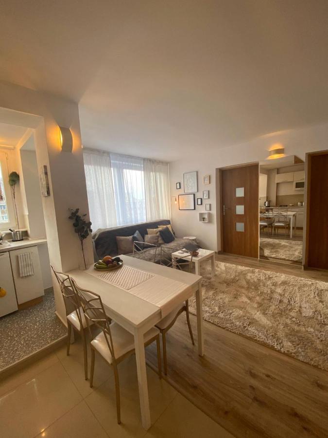 Vicky - New Apartment Centrum Srodmiescie Warsawa Bagian luar foto